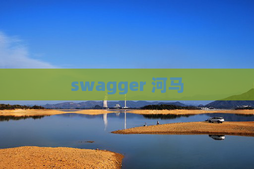 swagger 河马